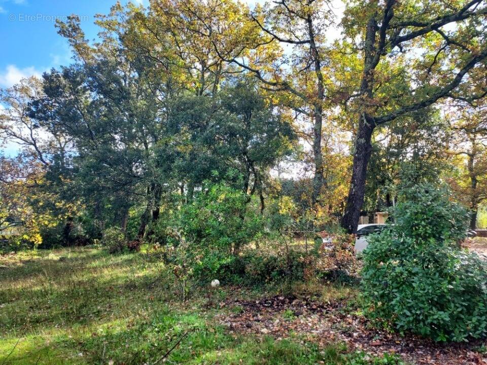 Terrain à GAREOULT