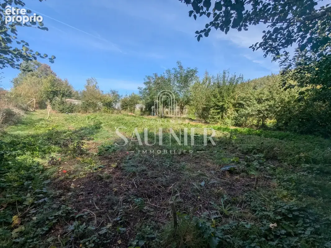Entre Montrichard et Blois, petit domaine agricole. - photo 22