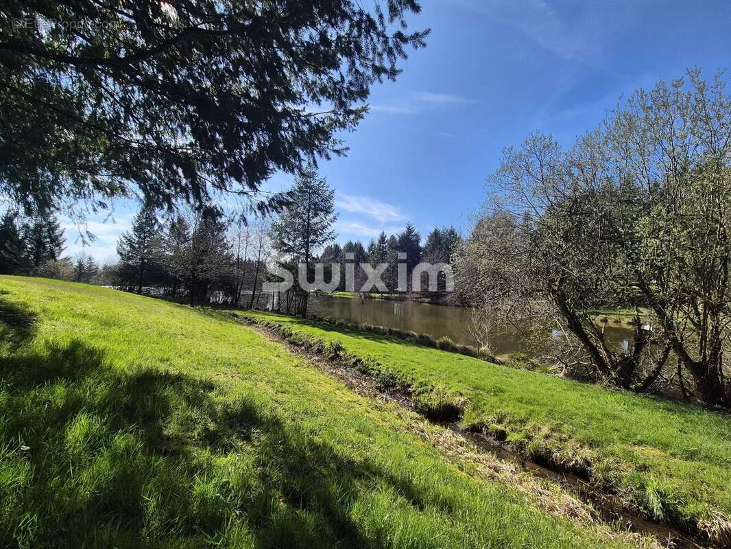 Terrain à LORMES
