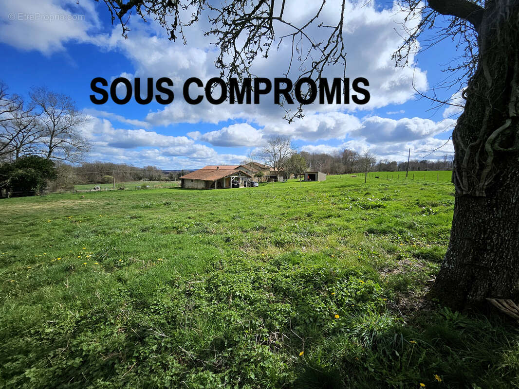 n°6 - Maison à CHALUS