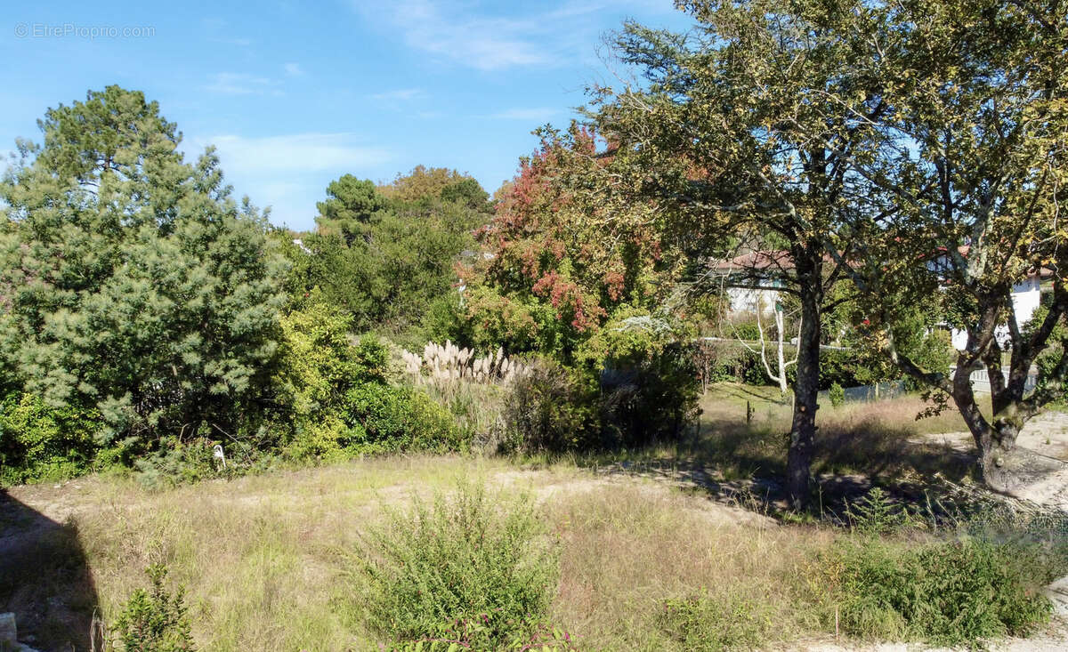 Terrain à CAPBRETON