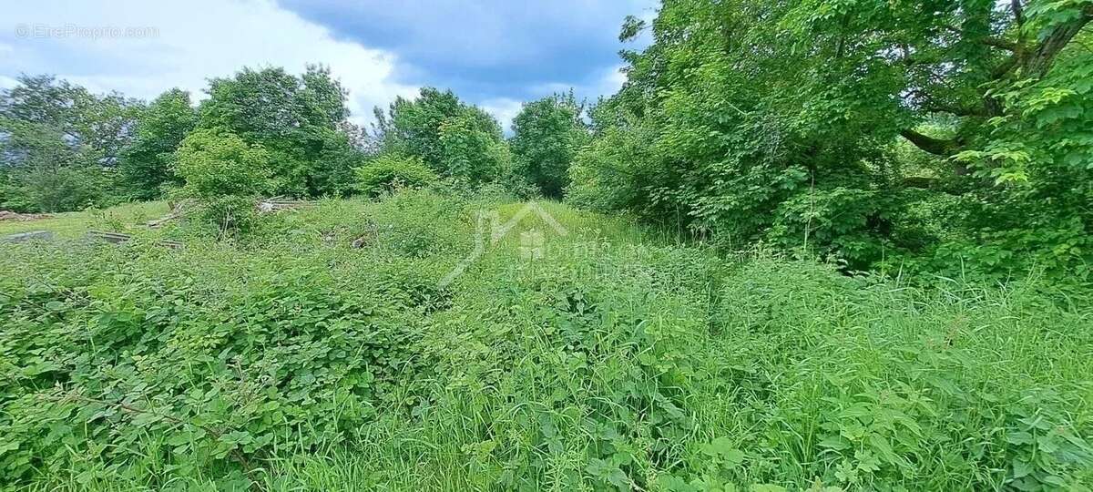 Terrain à NORROY-LES-PONT-A-MOUSSON