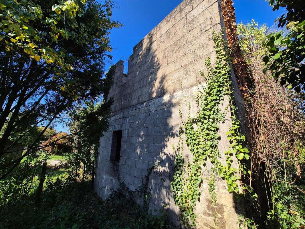 Photo 8 - Maison à CURZAY-SUR-VONNE