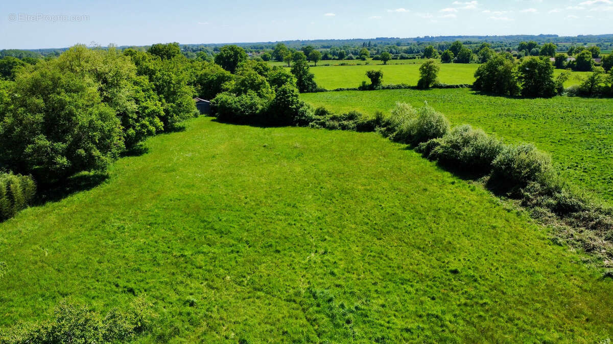 Maison à SABLE-SUR-SARTHE