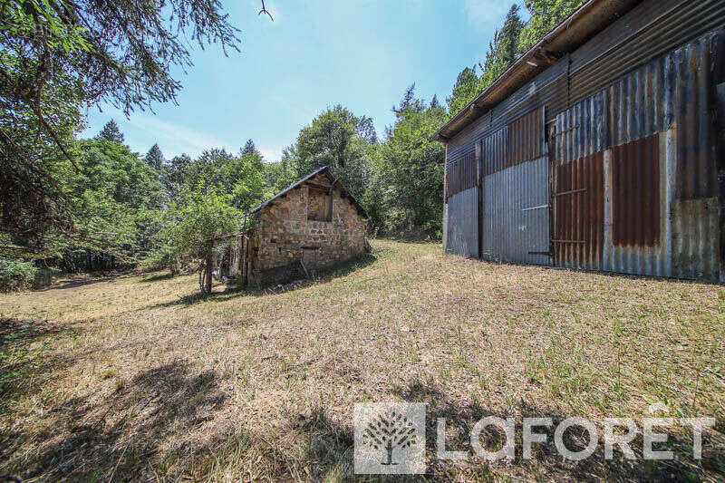 **muande + 7200 m² de terrain - embrun - photo 4