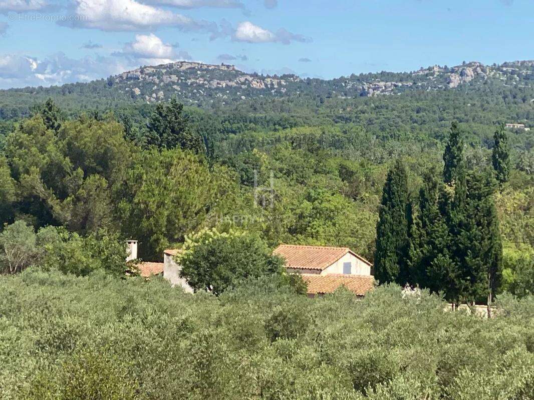 Ensemble immobilier Alpilles Sud sur terrain de 3627 M2 - photo 6