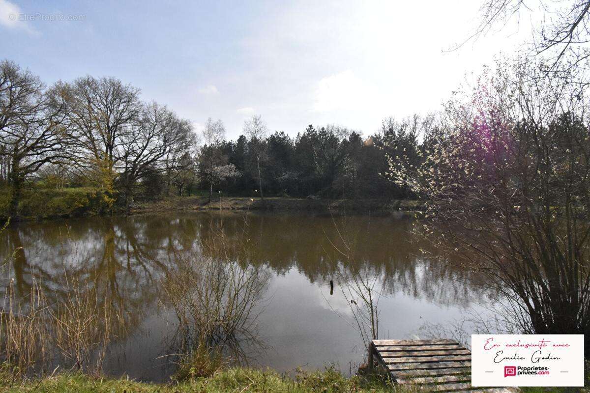 Terrain de loisirs La Plaine - photo 4