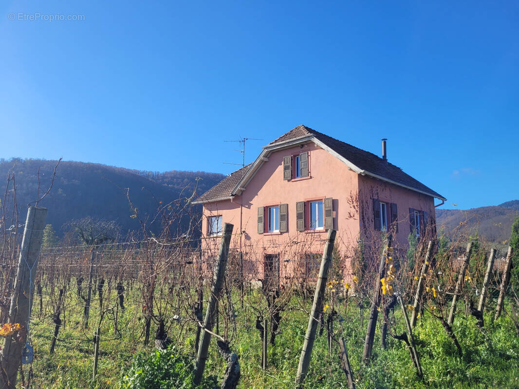 Maison à KIENTZHEIM