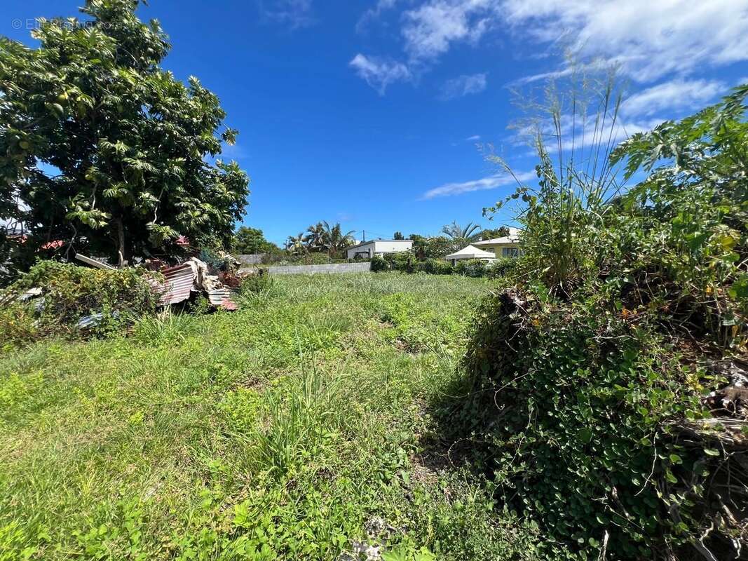 Terrain à SAINT-ANDRE