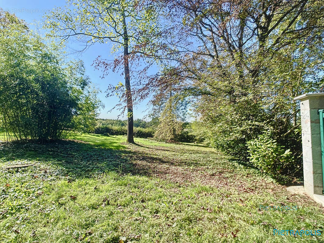 Terrain à CHANOZ-CHATENAY