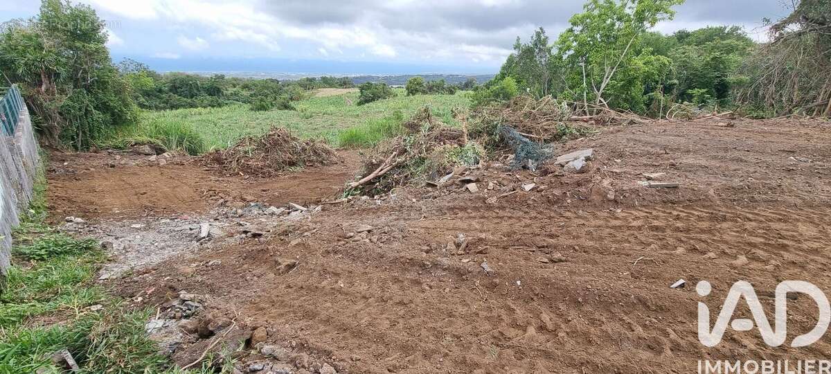 Photo 3 - Terrain à LE TAMPON