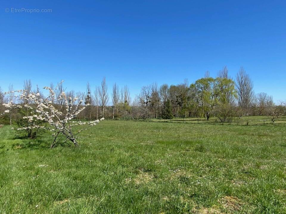 Terrain à AUNEAU