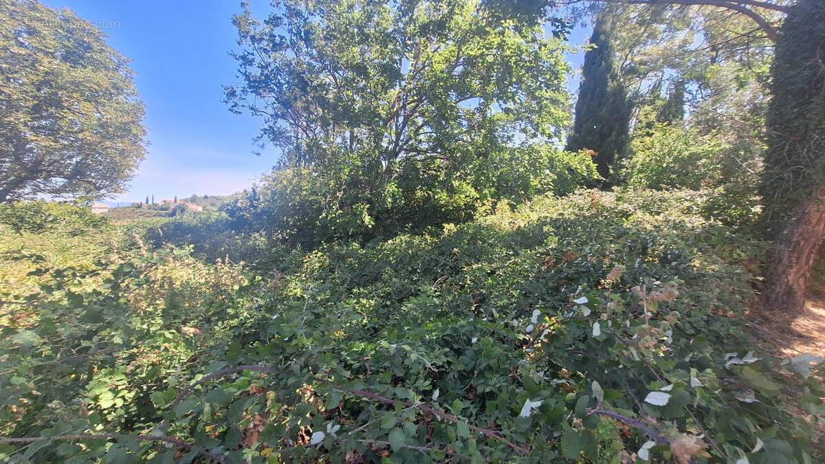 Terrain à TULETTE