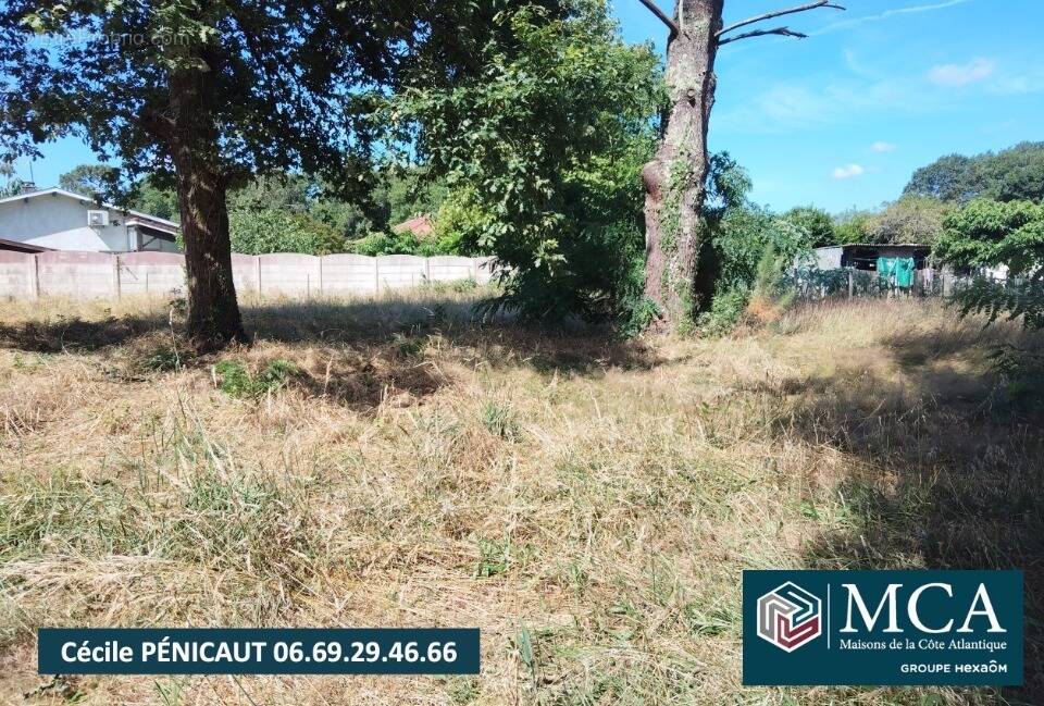 Terrain à SAUGNAC-ET-CAMBRAN