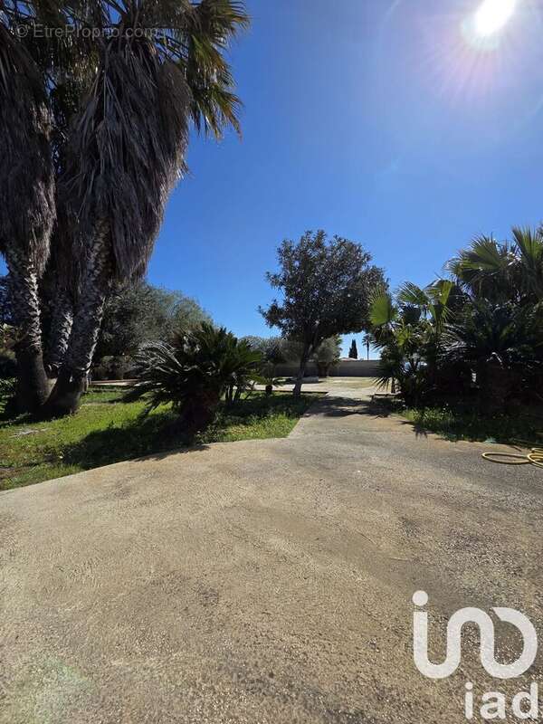 Photo 6 - Terrain à PIA