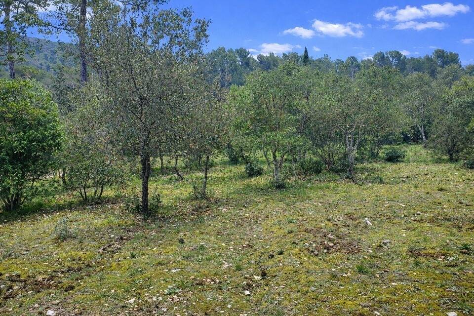 Terrain à GAREOULT
