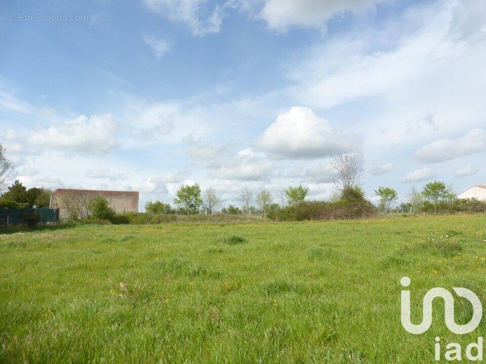 Photo 1 - Terrain à ASNIERES-LA-GIRAUD