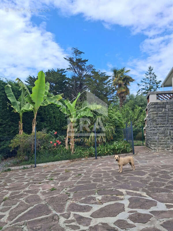 Maison à BIARRITZ