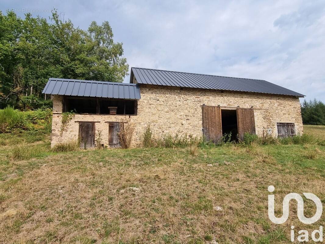 Photo 1 - Maison à JUILLAC