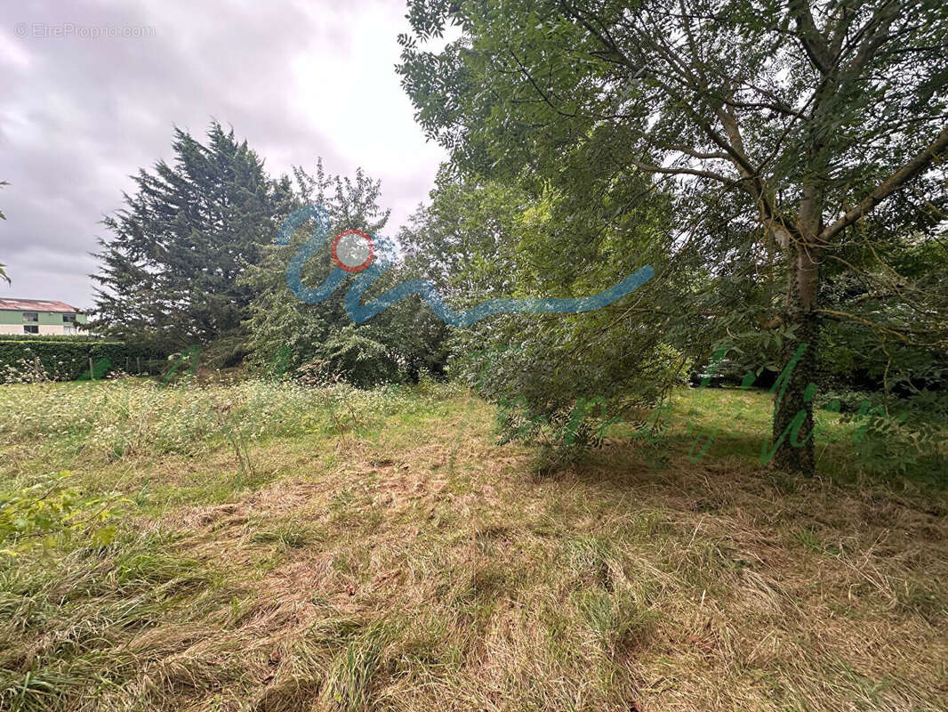 Terrain à PERDREAUVILLE