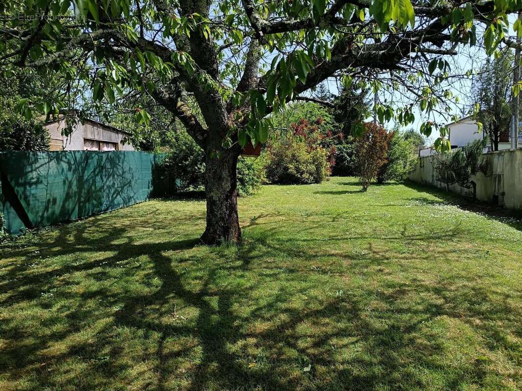 Photo 5 - Maison à COGNAC