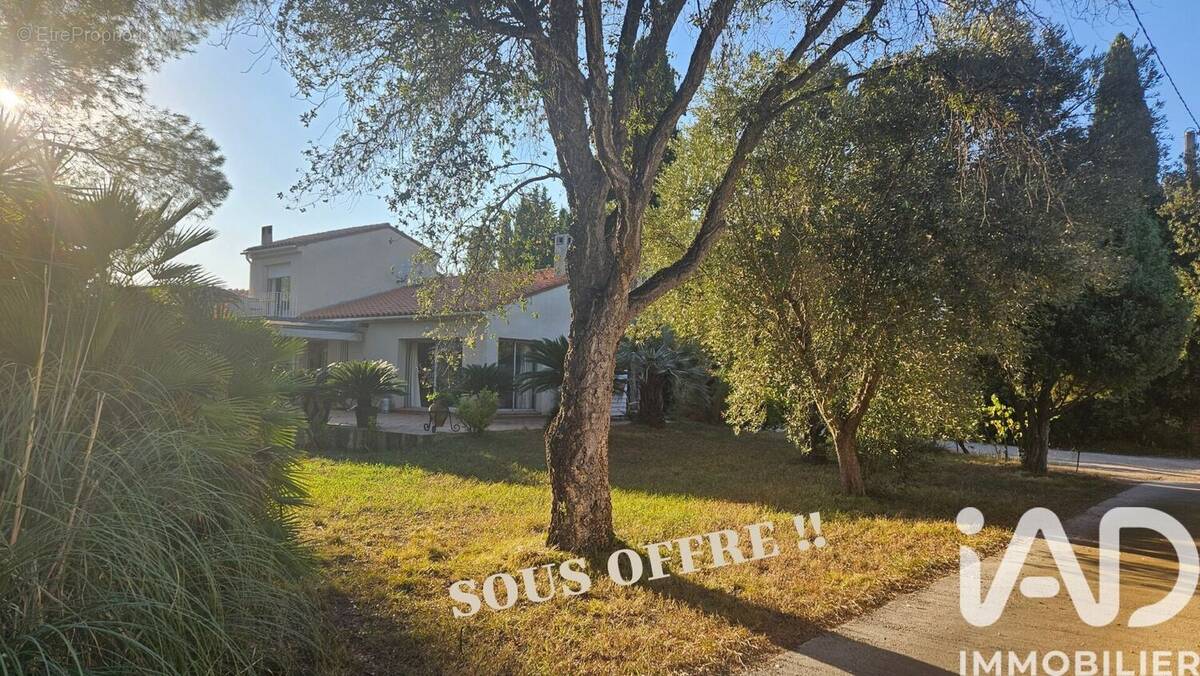 Photo 1 - Maison à MILLAS