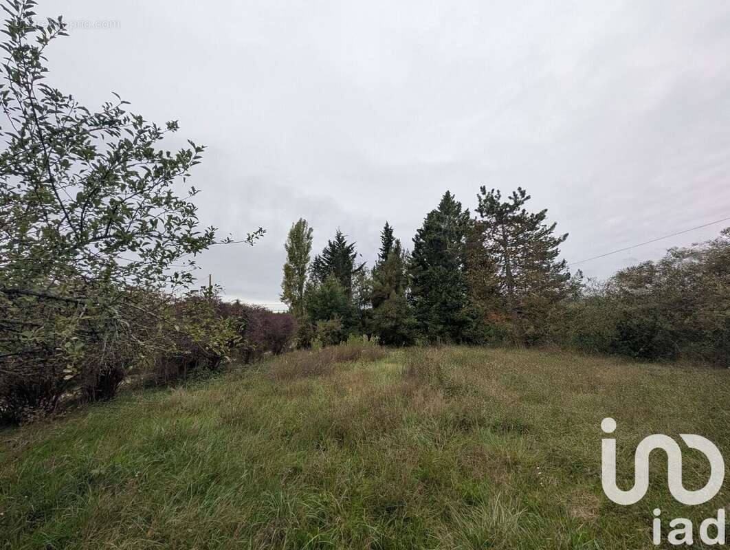 Photo 2 - Terrain à CAMPSAS