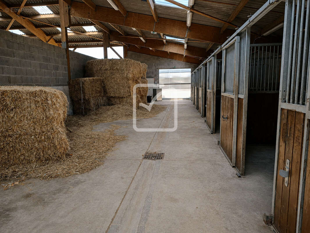 Rare   propriété équestre près de villeréal   20 ha   25 boxes   2 aires couvertes   2 habitations - photo 28