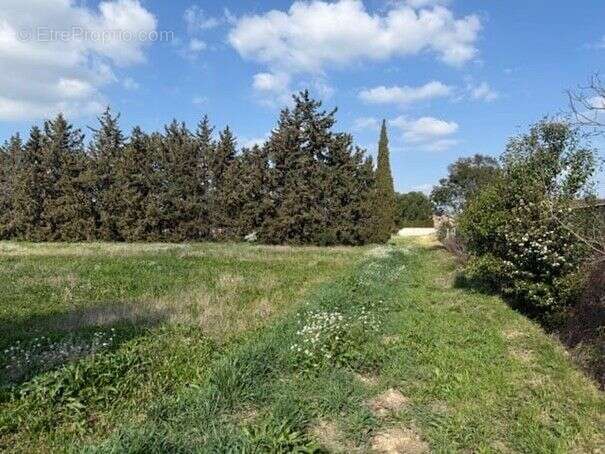 Terrain à AVIGNON