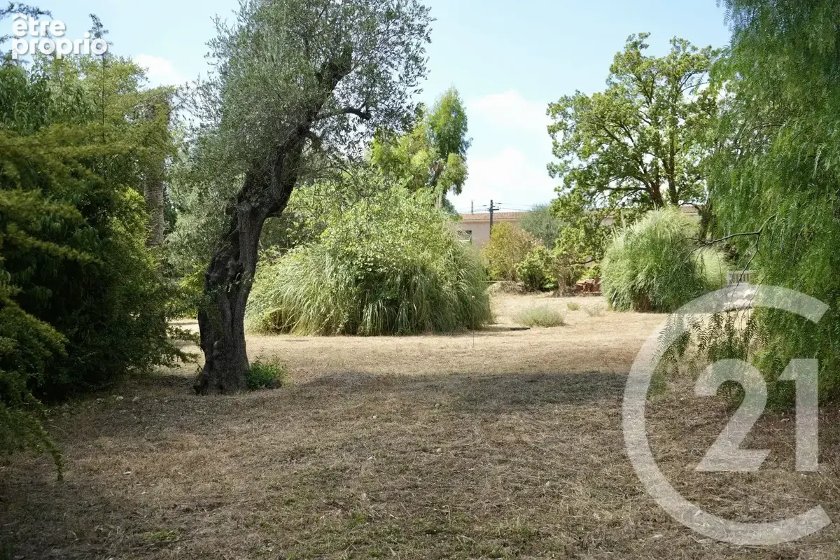 Terrain 2513 m² à Roquefort-Les-Pins  - photo 4