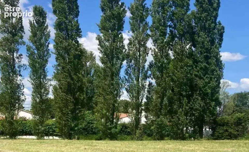Terrain à SAINT-JEAN-DE-MONTS
