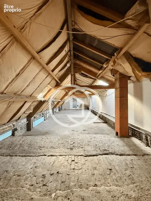 Corps de ferme 550m2 avec cour, jardin et hangar annexe - photo 10
