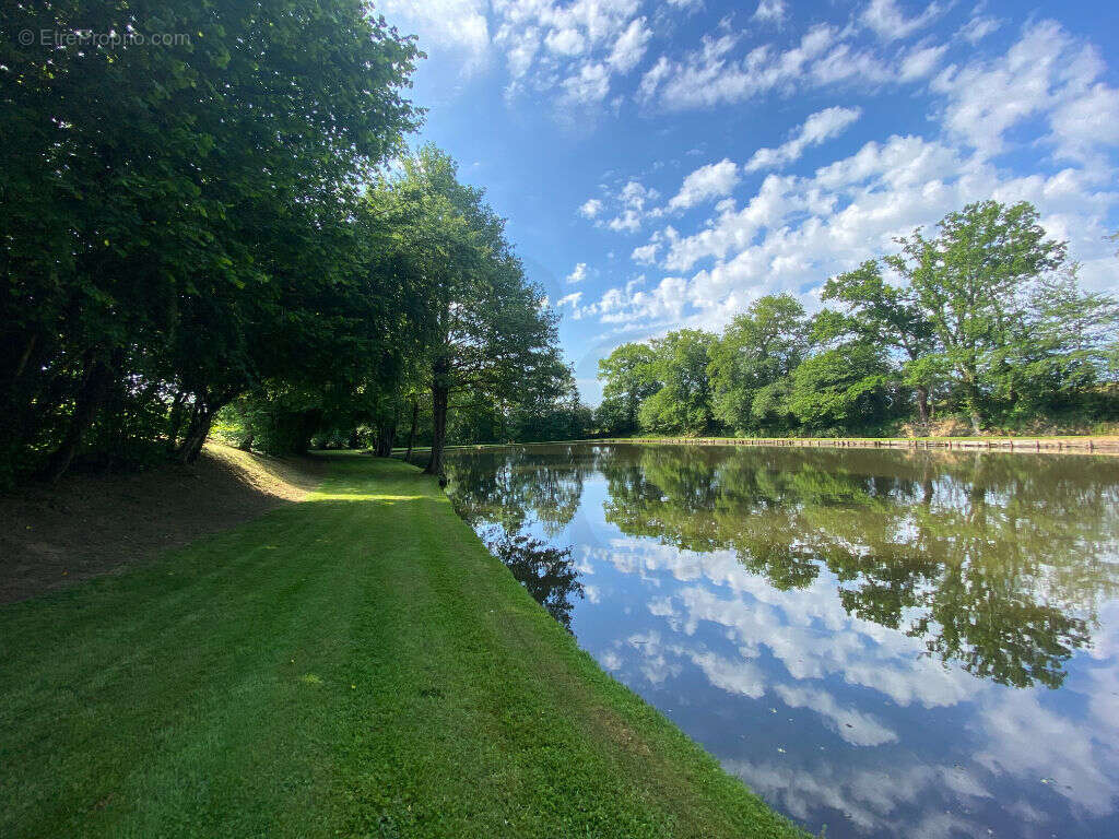 Terrain à LA FERTE-MACE