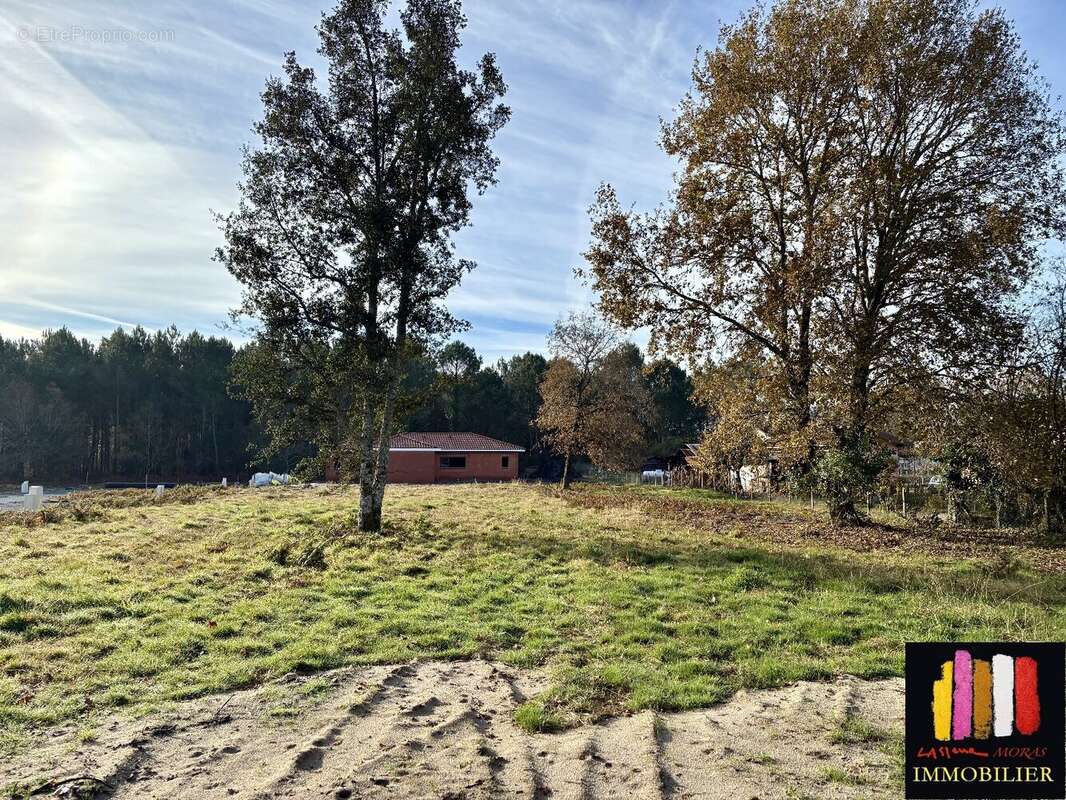 Terrain à PONTENX-LES-FORGES