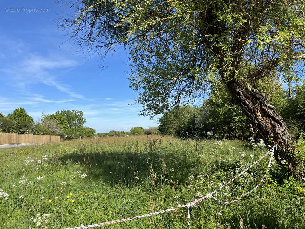 Terrain à LES SABLES-D'OLONNE