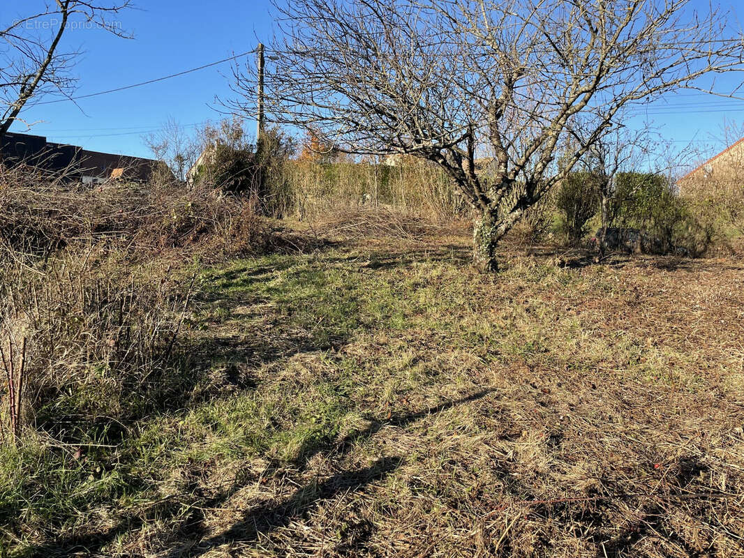 Terrain à LABERGEMENT-LES-SEURRE