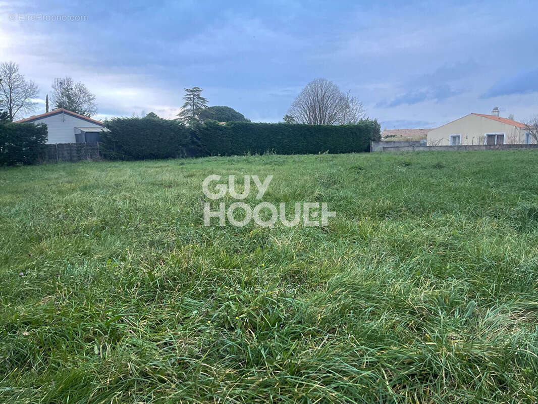 Terrain à COMMEQUIERS