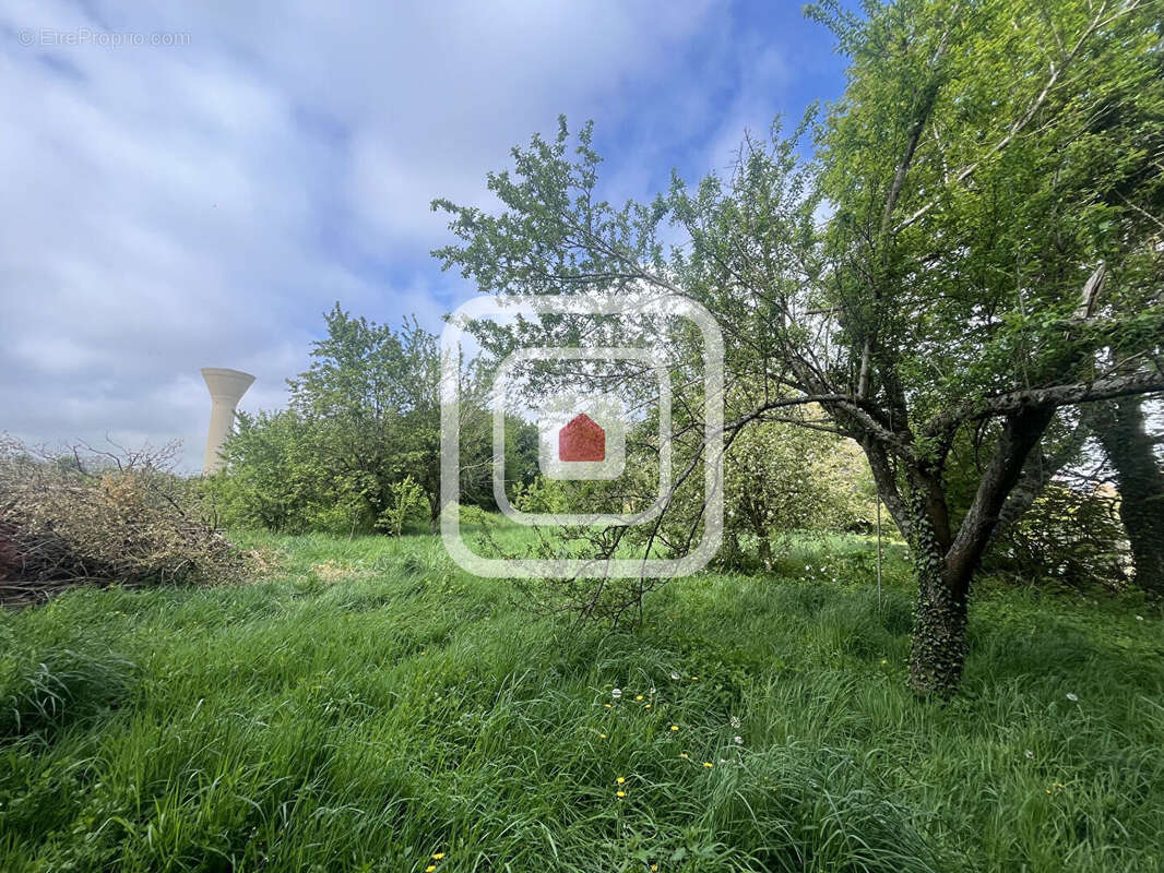 Maison à HAUSSIGNEMONT