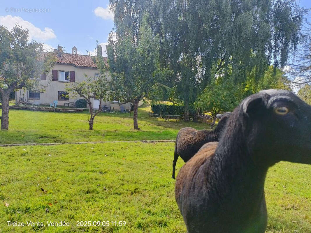 Maison à TREIZE-VENTS