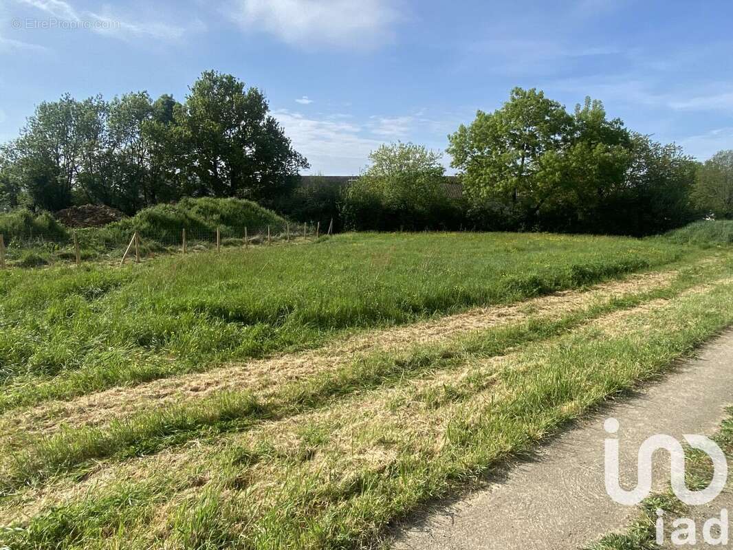 Photo 4 - Terrain à CHAURAY