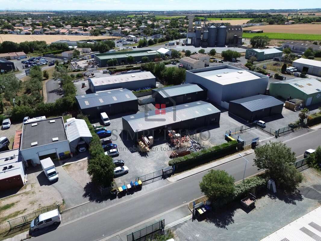 Commerce à SAINT-MEDARD-D'AUNIS