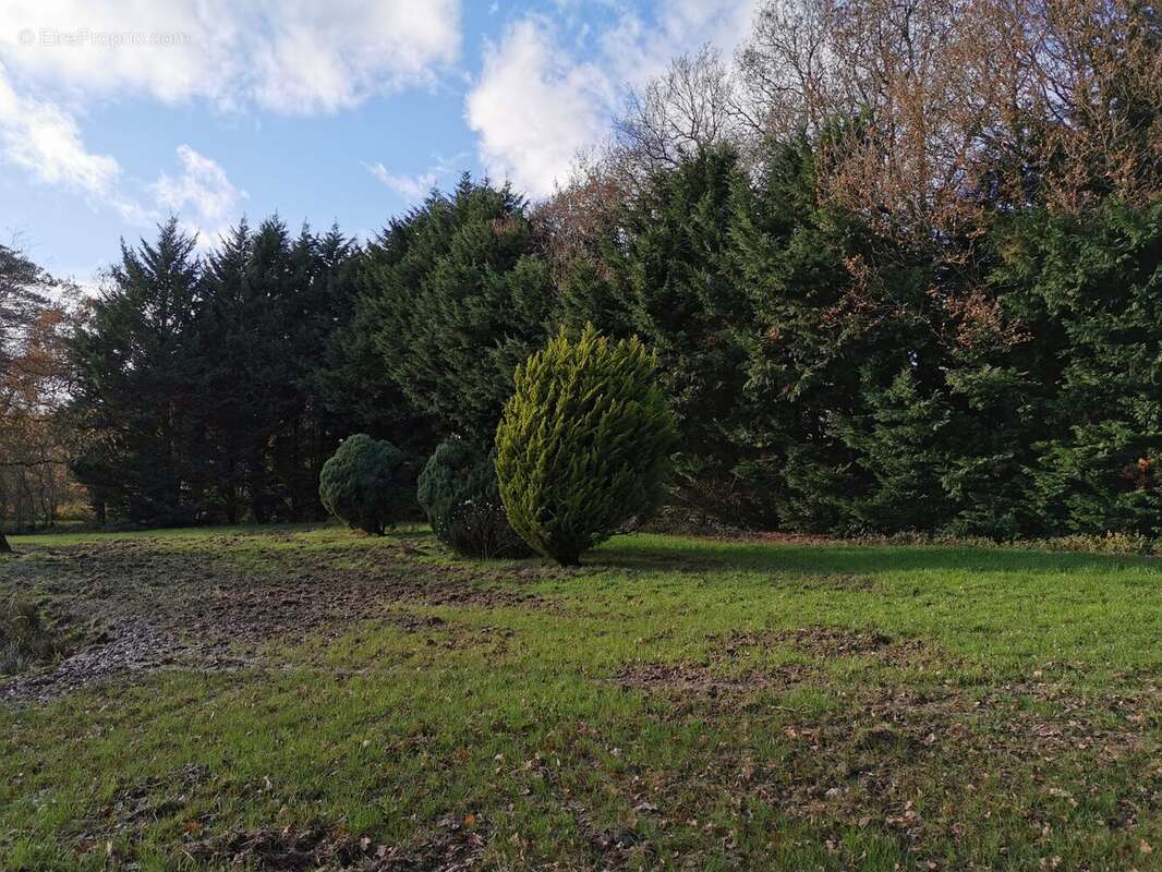 Terrain à DINGE