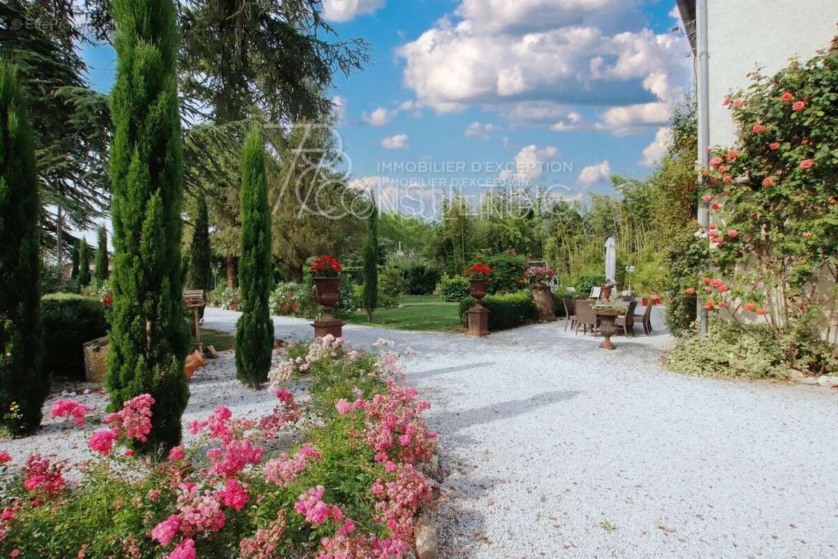 Maison à LISLE-SUR-TARN