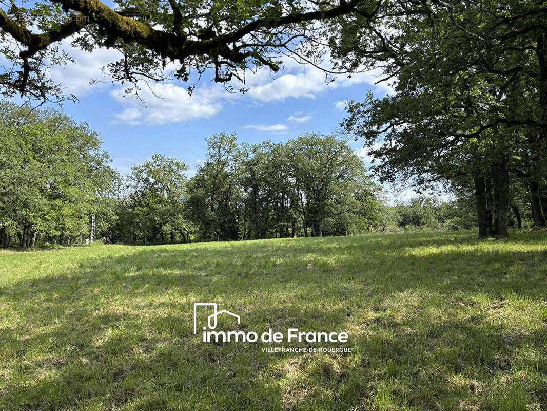 Terrain à PARISOT