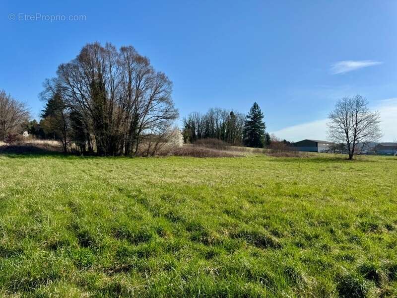 Terrain à SAVIGNAC-LES-EGLISES
