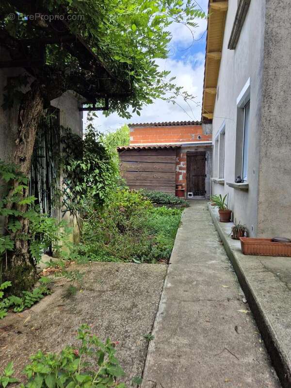 Photo 9 - Maison à ALBI