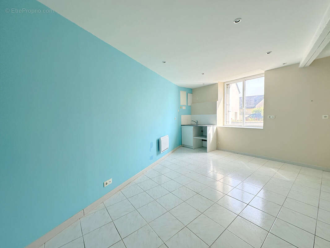 Local Commercial Pont -Pean - 27 m2 - photo 3