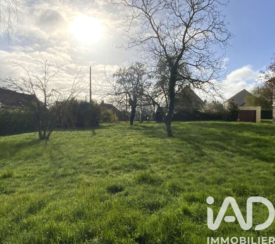 Photo 4 - Terrain à LES GRANGES-LE-ROI