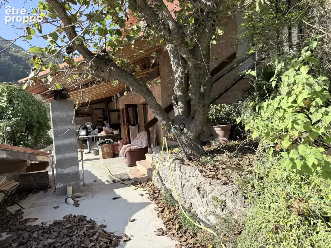 Vaste propriété de plus d’un hectare, entre oliviers centenaires et arbres fruitiers - photo 21