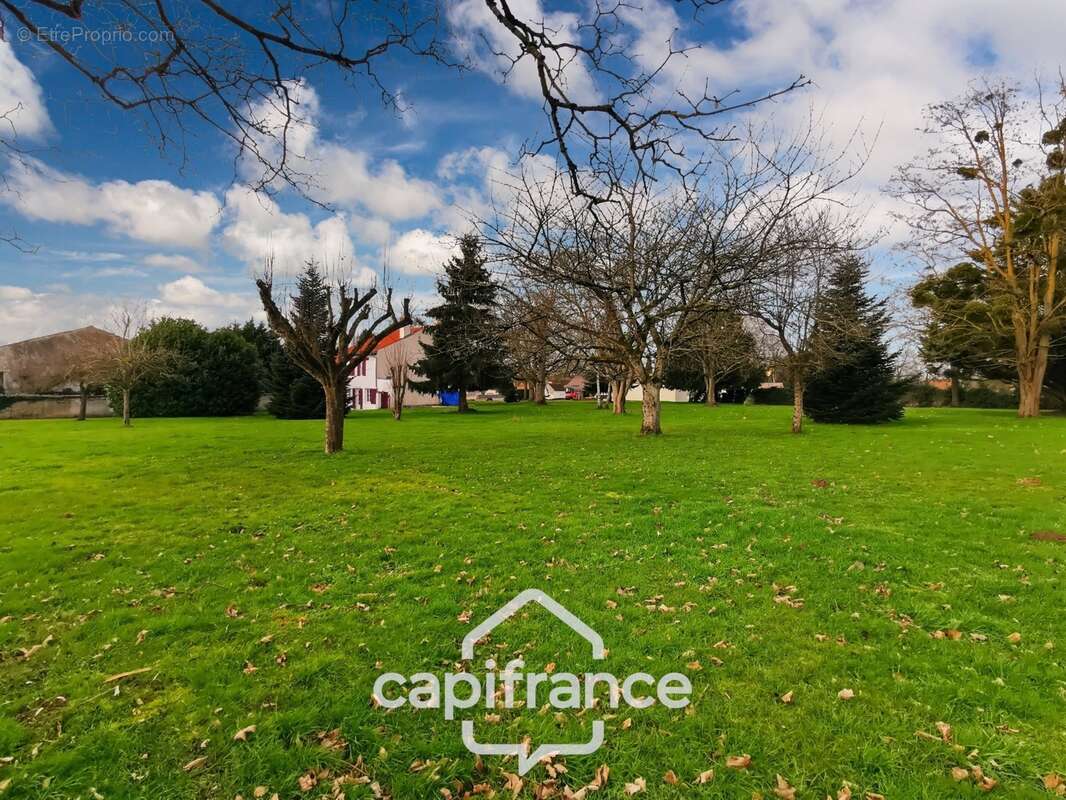 Longère de 170m² proche de Beaune - photo 4